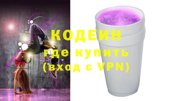 молекула духа Богородицк
