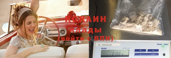 первитин Богданович