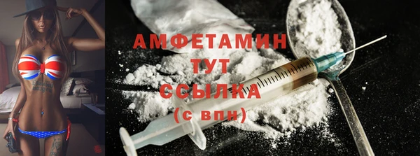 молекула духа Богородицк